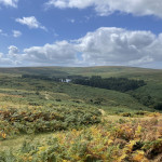 Moors