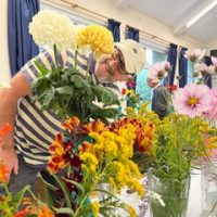 7e4f4349-48b8-4254-ae00-f32e7f7ba490