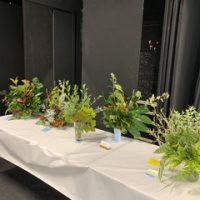 d2270d67-3d2d-4f78-9440-08c868a58a34